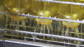 Bottle washing detail