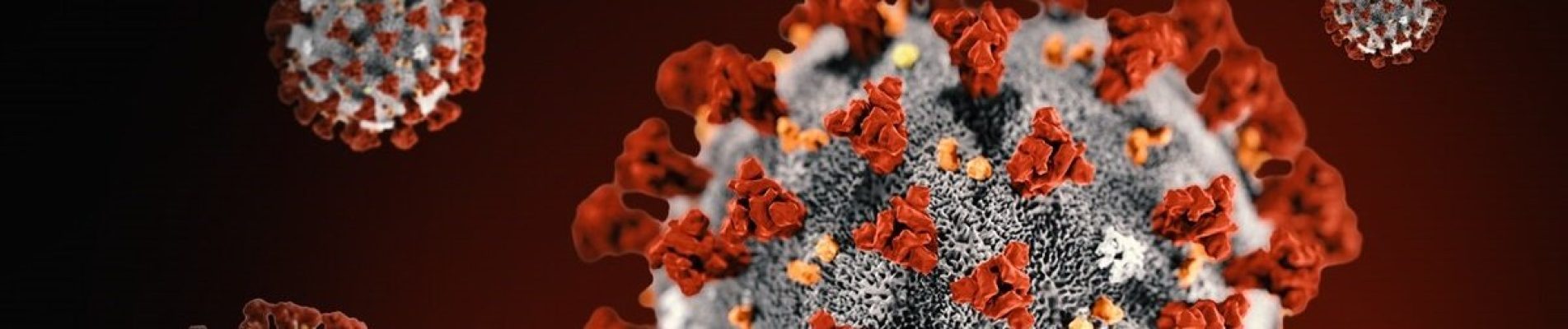 Covid-19_Virus_2