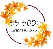 Kampanj_55500_img