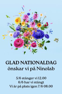 Nationaldag-2024